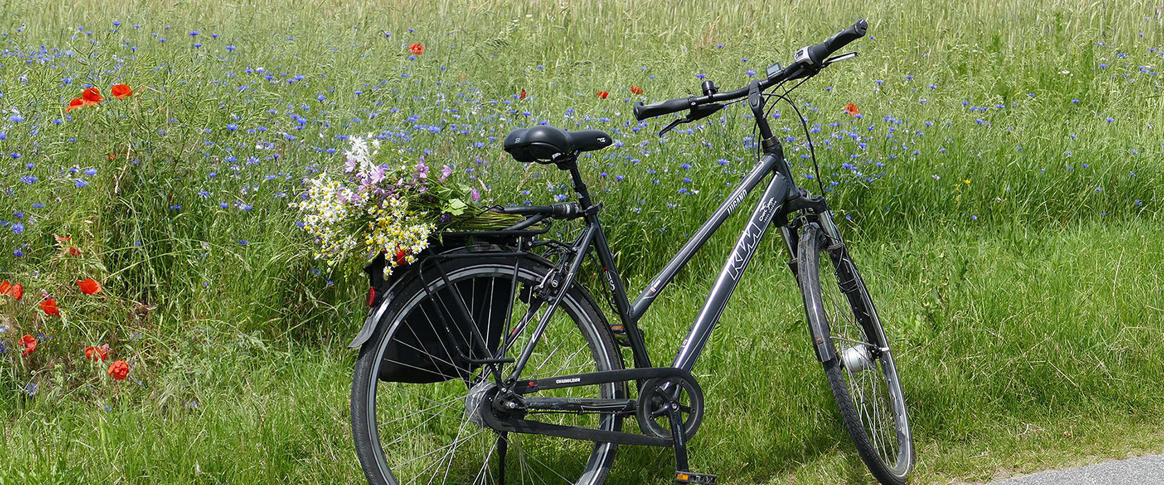 fahrrad_header_1.jpg